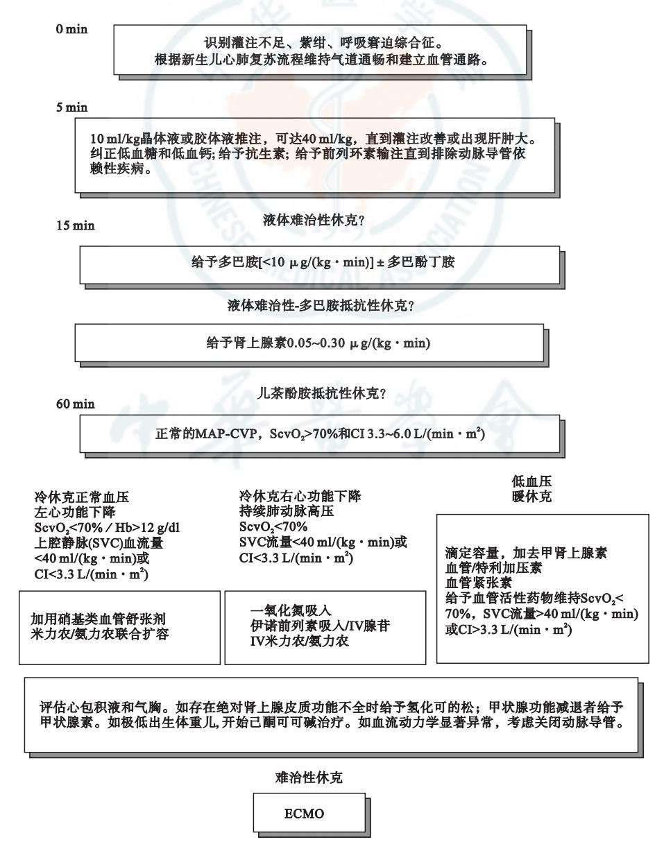 【2014版美国重症医学会( ACCM)儿童和新生儿脓毒性休克 血流动力学支持临床实践指南解读】新生儿休克复苏临床路径图