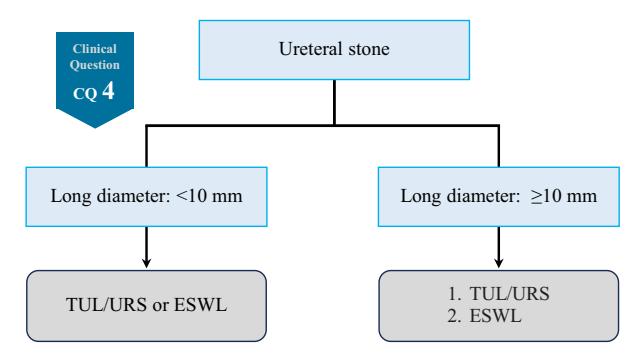 【Summary of the clinical practice guideline for the management of urinary stones, third edition】Clinical management algorithm