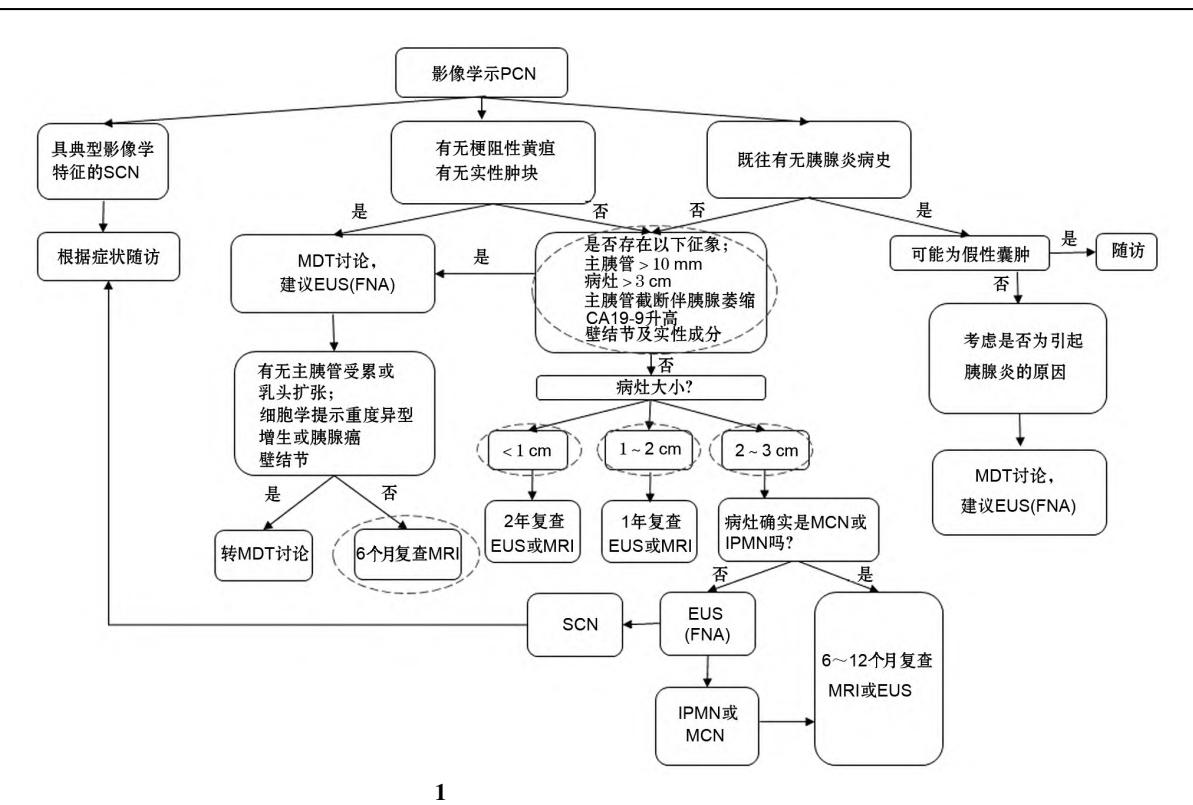 【中国胰腺囊性肿瘤诊断指南(2022年)】胰腺囊性肿瘤(PCN)诊疗路径图