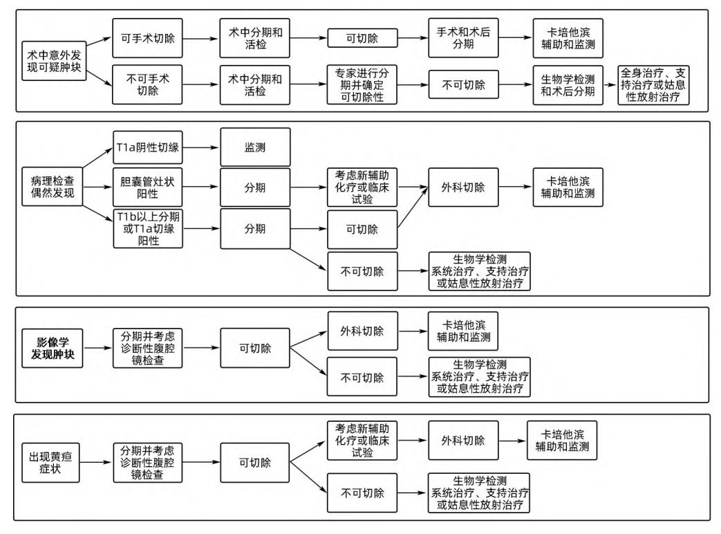 【《肿瘤外科学年鉴:肝外胆管癌和胆囊癌临床诊疗指南》推荐意见】胆囊癌临床诊疗路径图