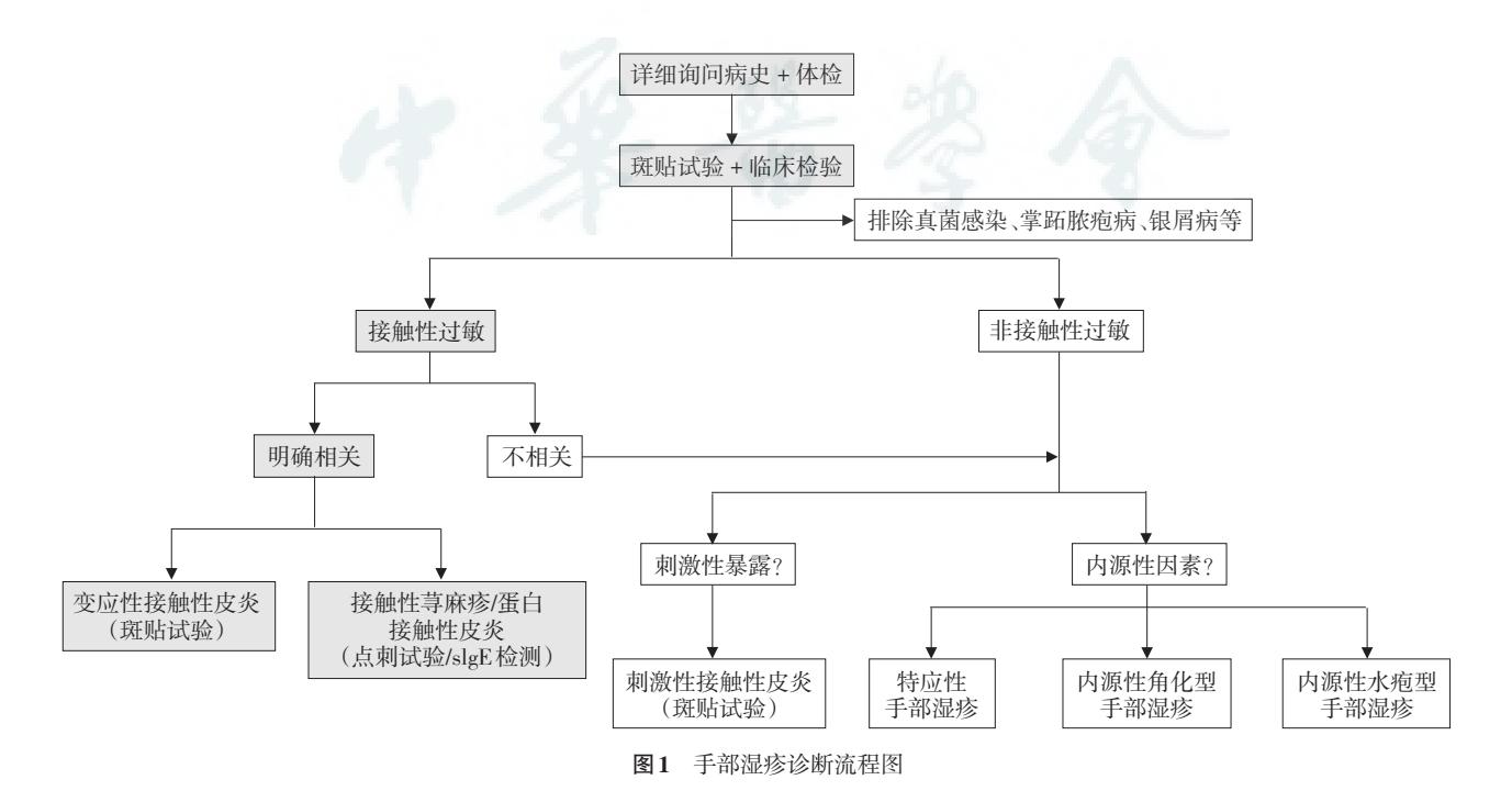 手部湿疹诊断流程图