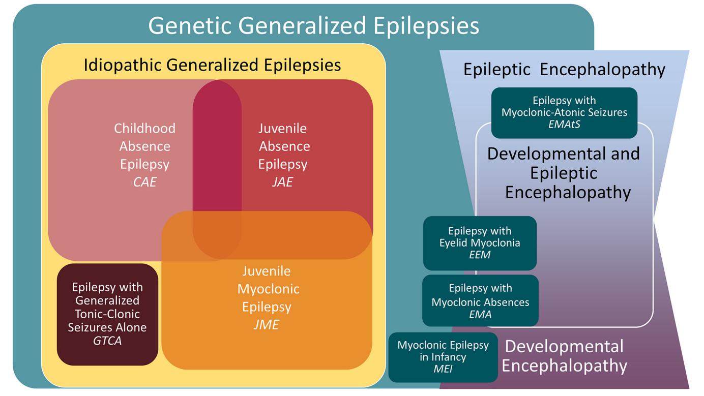 【ILAE definition of the Idiopathic Generalized Epilepsy Syndromes: Position statement by the ILAE Task Force on Nosology and Definitions】Classification Diagram
