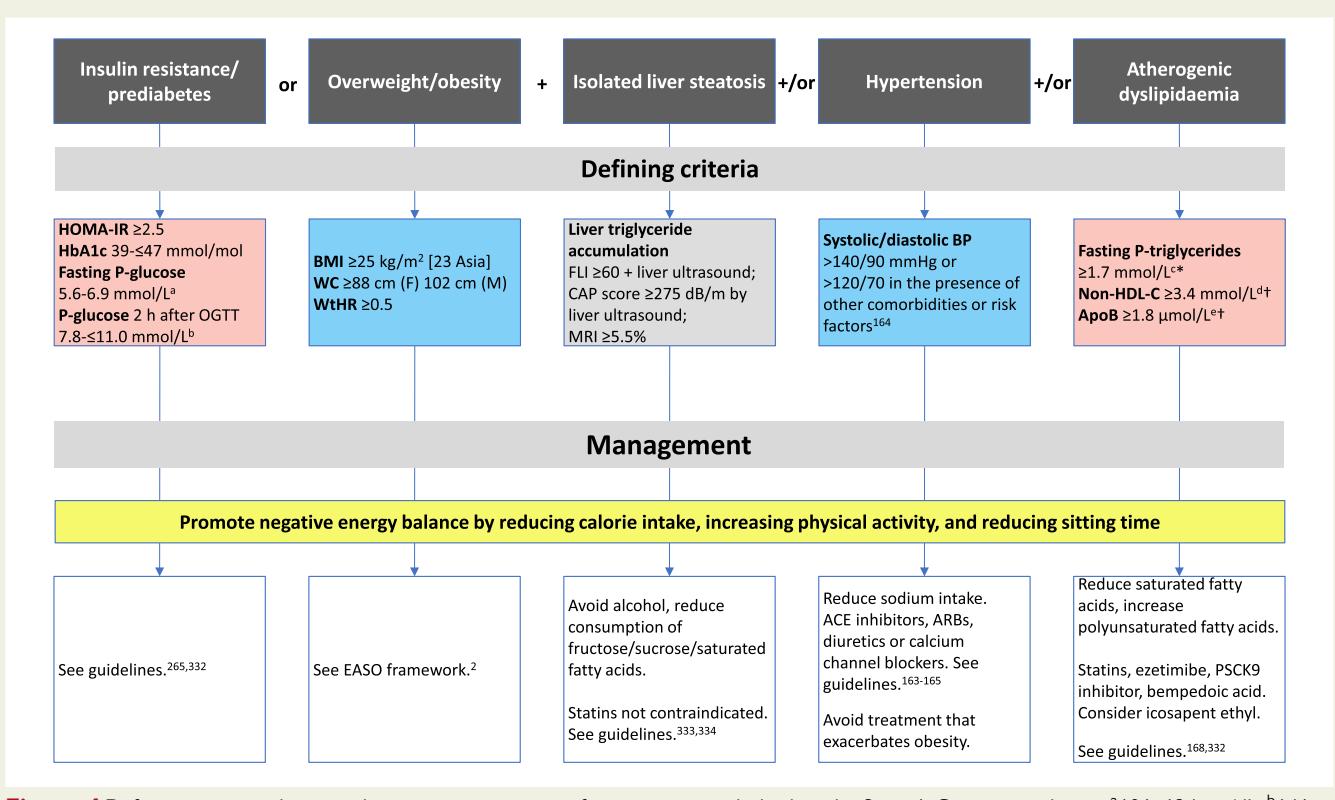 image_category: FLOWCHART/Clinical diagnostic and management algorithm | body_region: whole body | specialty: Endocrinology, Hepatology, Cardiology | summary: A clinical flowchart outlining the diagnostic criteria and multi-faceted management strategies for metabolic dysfunction-associated steatotic liver disease (MASLD) and related metabolic syndromes.
