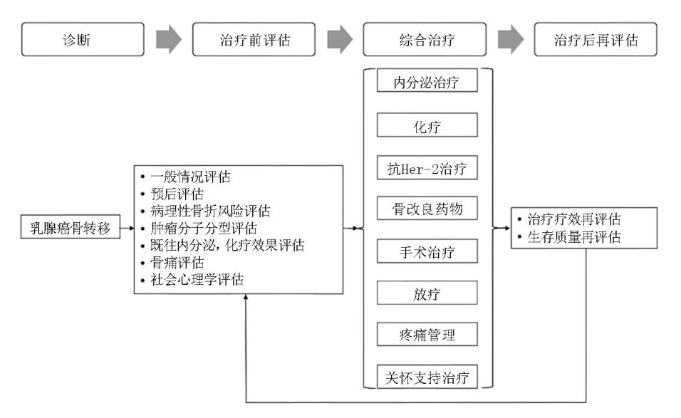 【乳腺癌骨转移临床诊疗专家共识(2022版)】乳腺癌骨转移综合治疗流程图