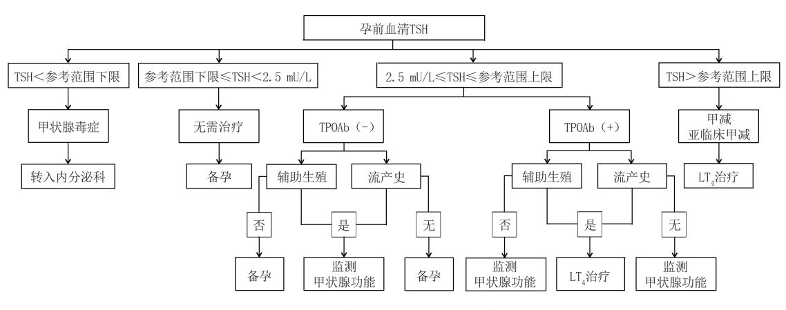 【孕产期甲状腺疾病防治管理指南】孕产期甲状腺疾病诊疗路径图
