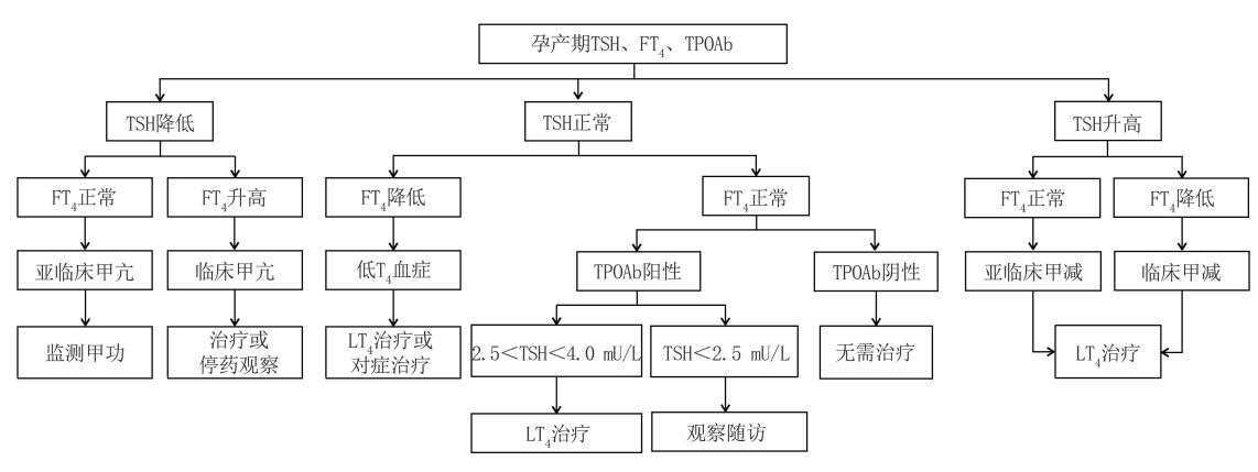 【孕产期TSH、FT4、TPOAb临床管理流程图】