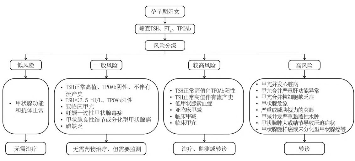 【孕产期甲状腺疾病防治管理指南】孕早期甲状腺疾病风险分级诊疗流程图