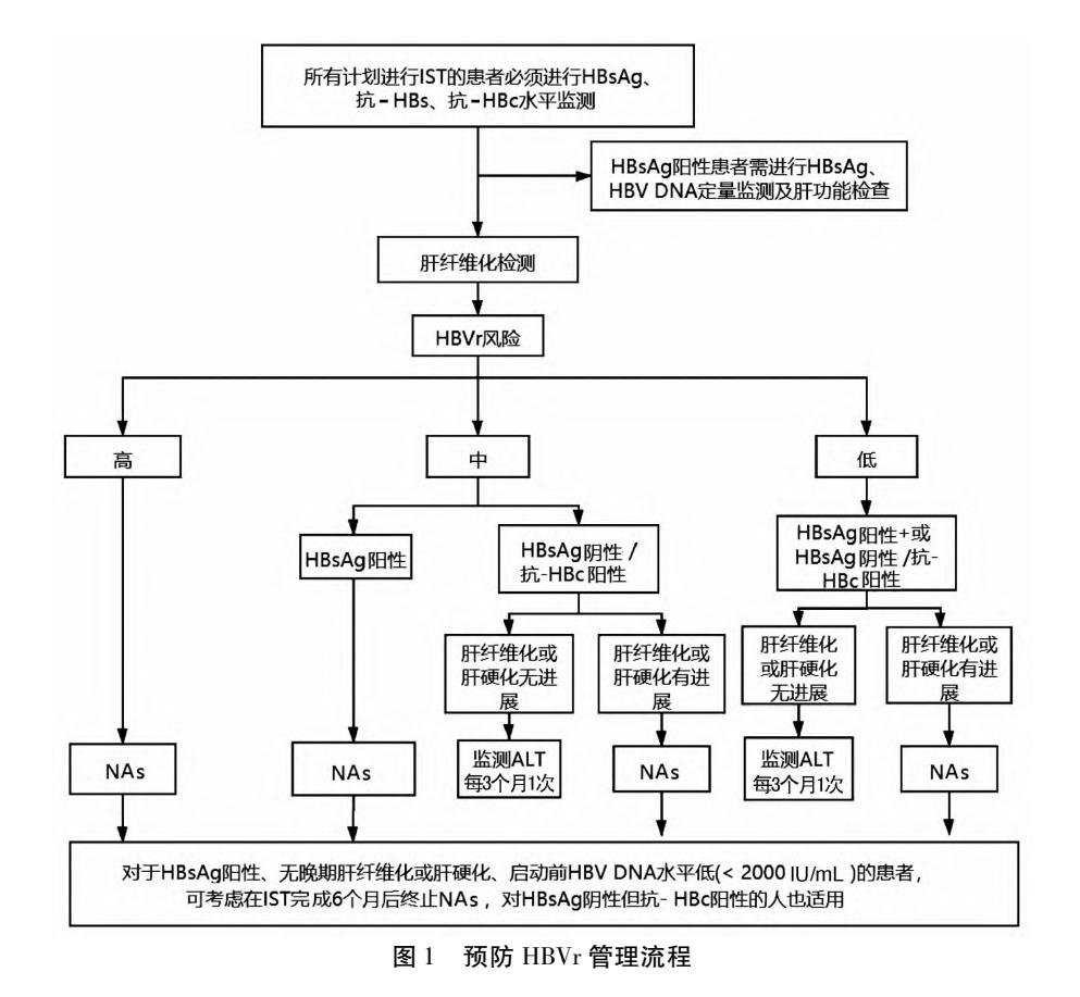 image_category: FLOWCHART/乙型肝炎病毒再激活(HBVr)预防管理流程图