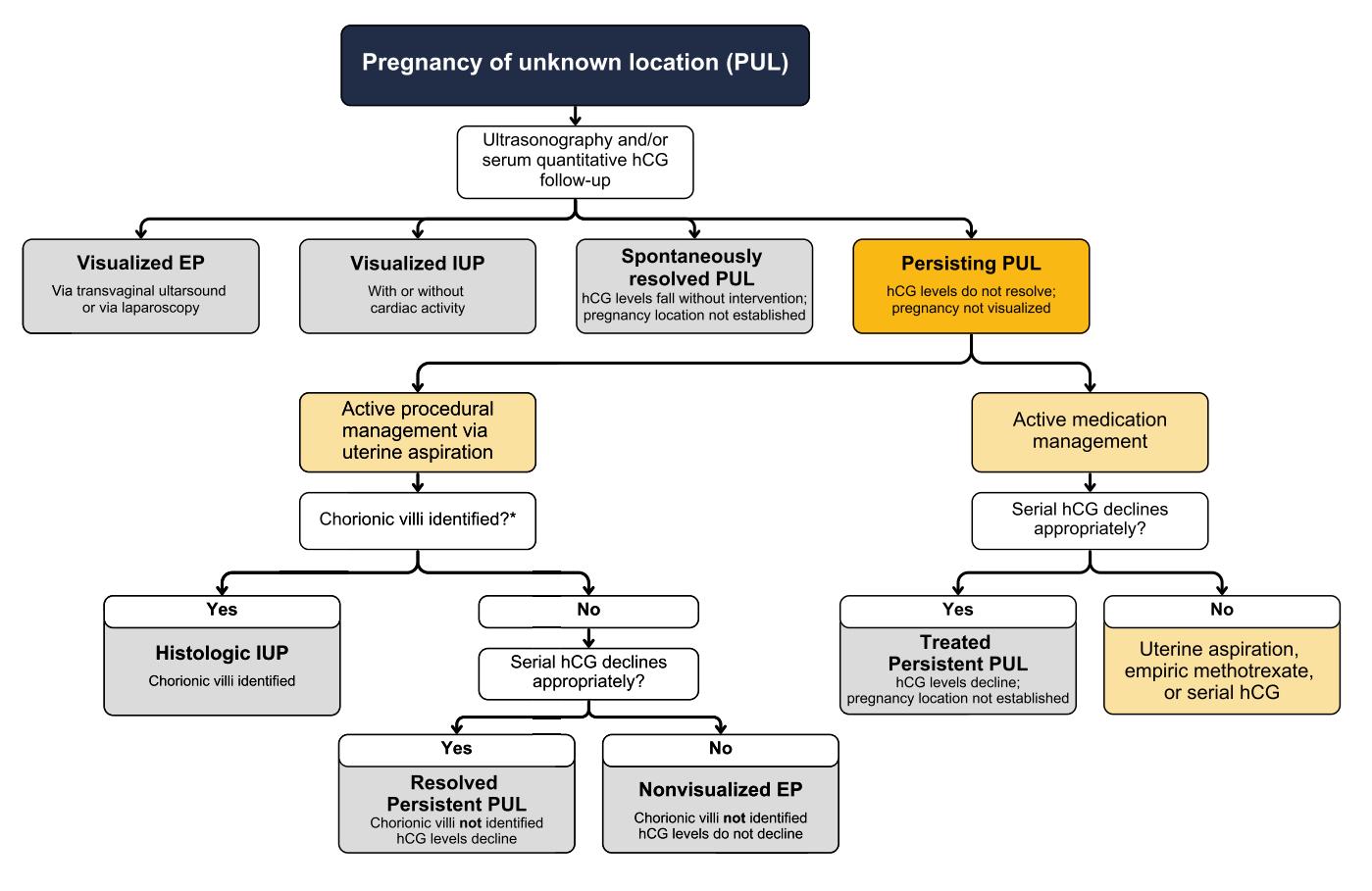【Queensland Clinical Guideline】PUL diagnosis and management algorithm