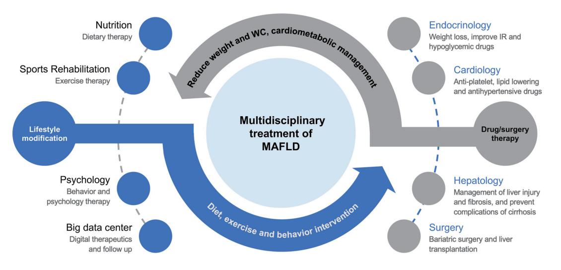 【MAFLD Multidisciplinary Treatment】MAFLD多学科治疗框架图