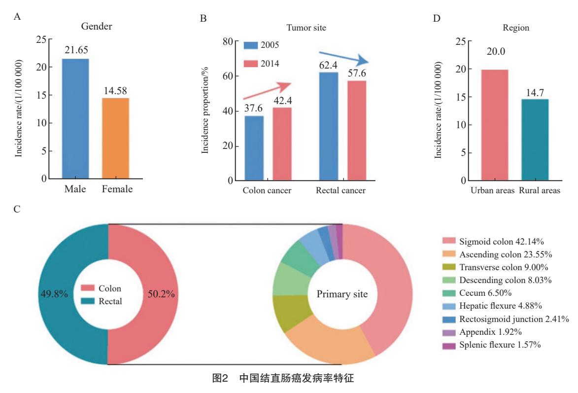 【结直肠癌早筛、早诊、早治上海方案(2023年版)】流行病学统计图