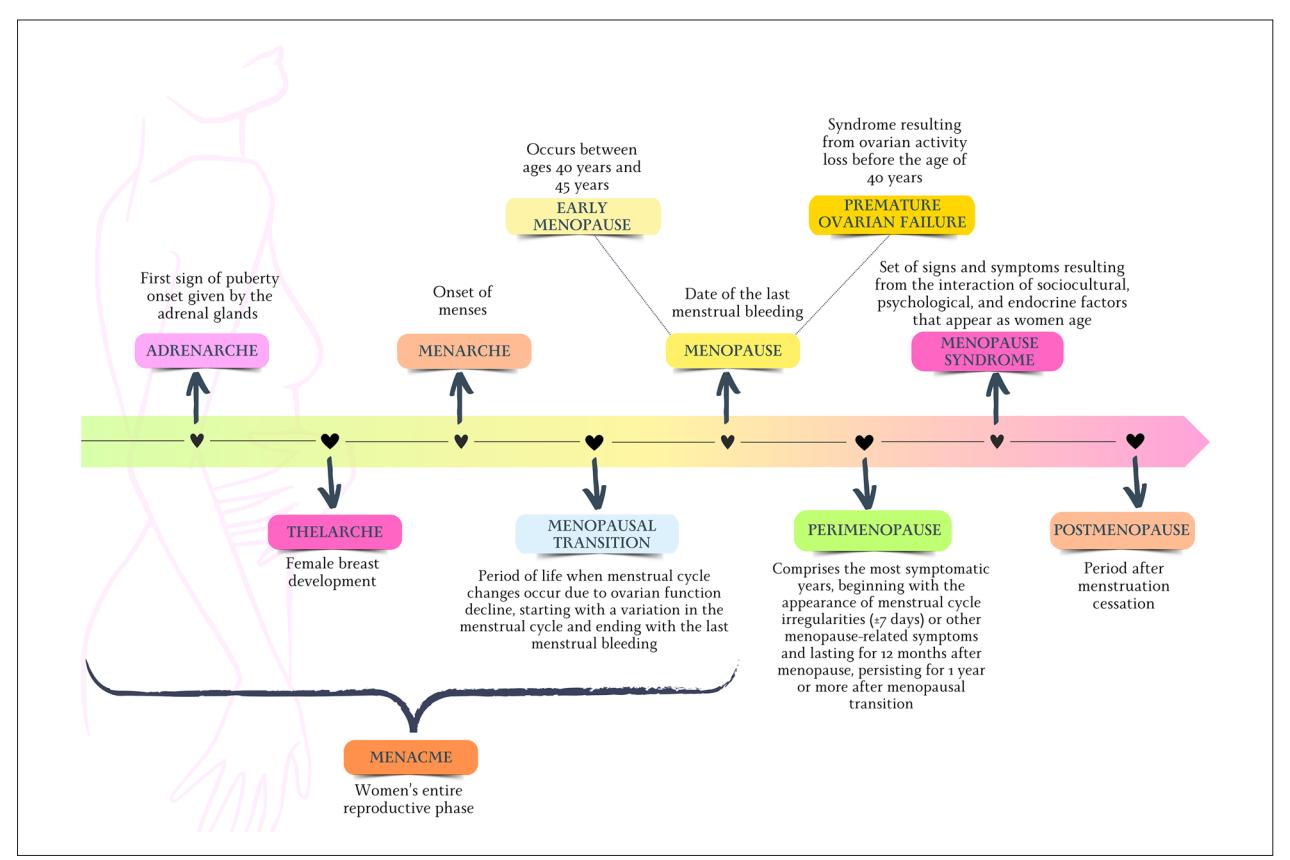 【Brazilian Guideline on Menopausal Cardiovascular Health - 2024】Reproductive life cycle diagram