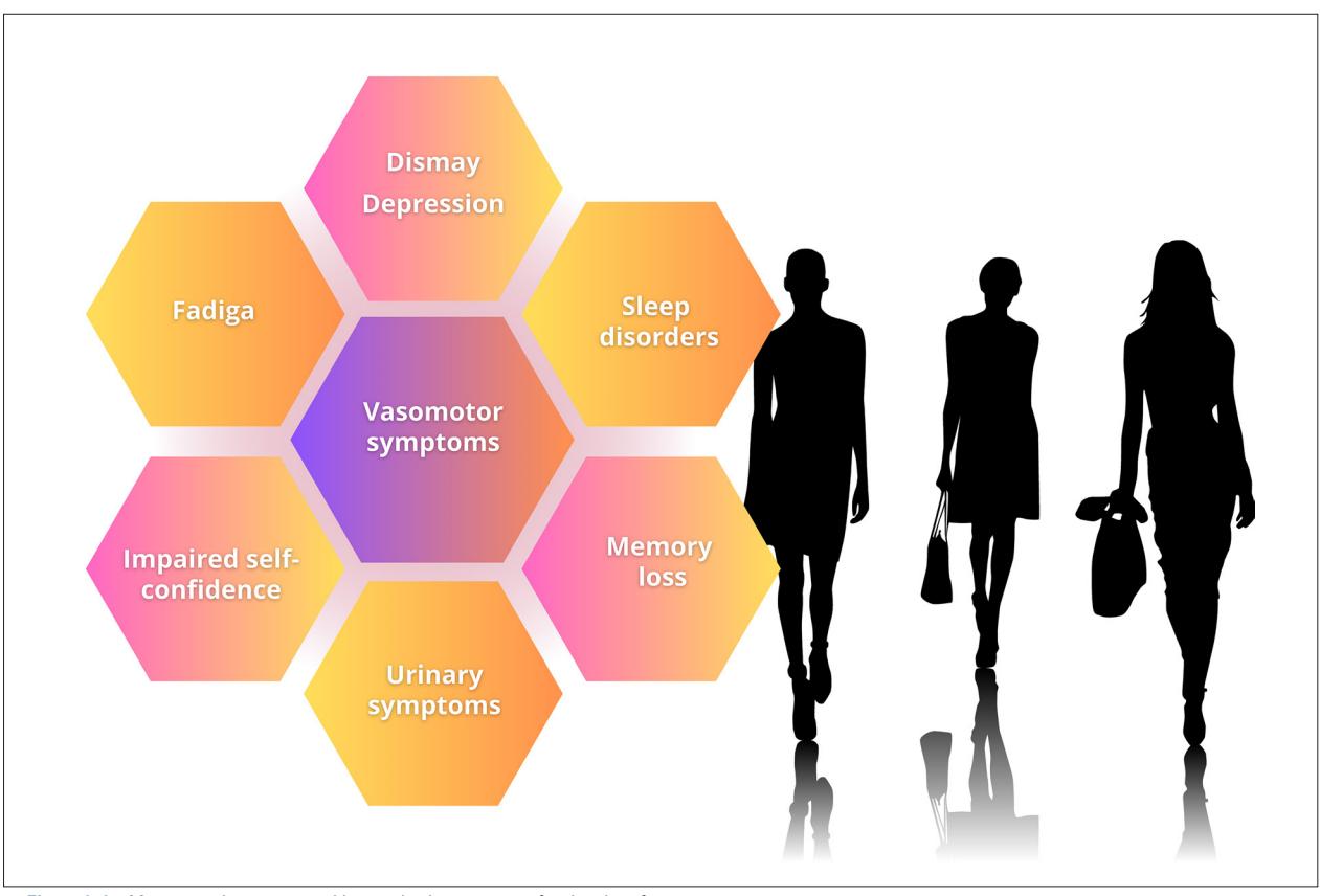 image_category: DIAGRAM/Menopause symptom infographic