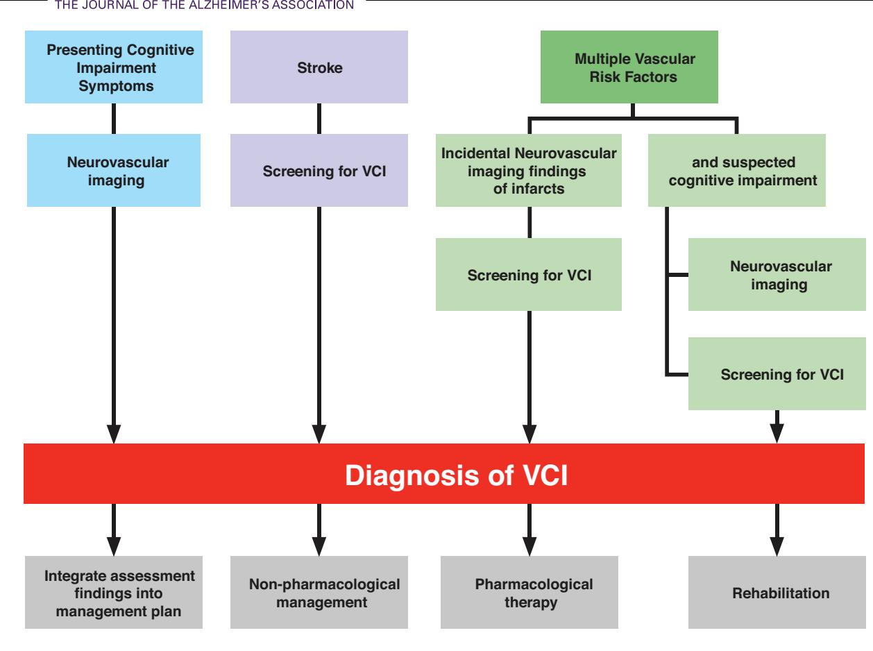 【The Journal of the Alzheimer's Association】Vascular Cognitive Impairment Diagnostic and Management Pathway