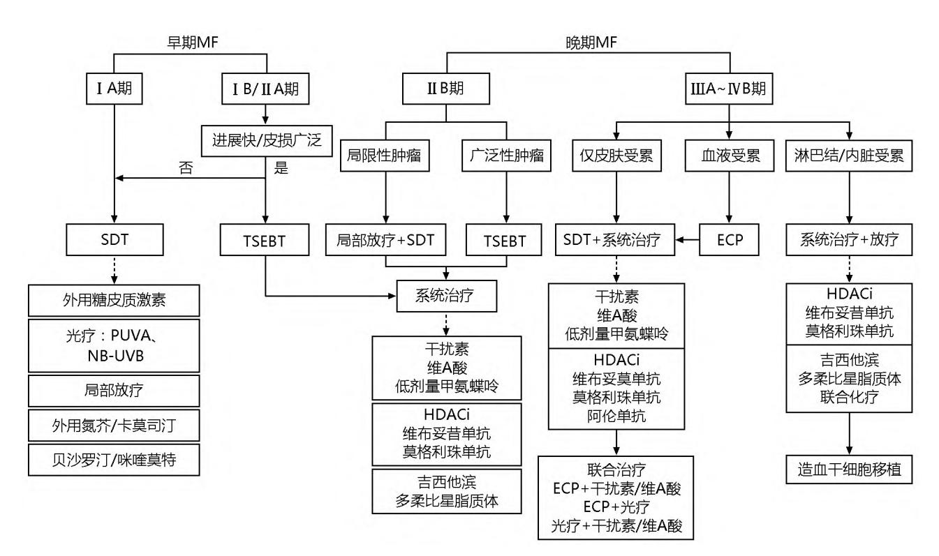 image_category: FLOWCHART/蕈样肉芽肿(MF)诊疗路径图 | body_re...