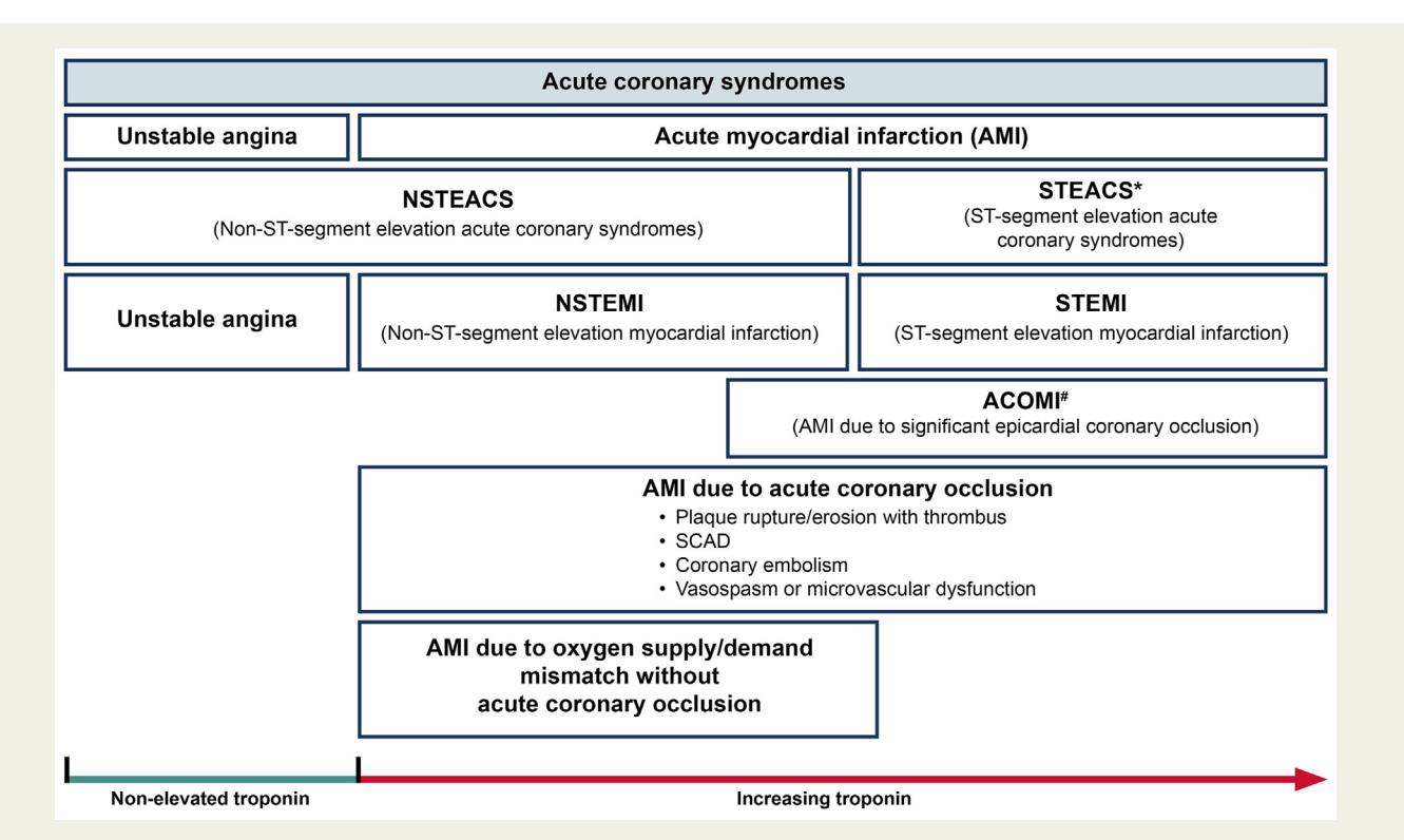 【National Heart Foundation of Australia & Cardiac Society of Australia and New Zealand: Comprehensive Australian Clinical Guideline for Diagnosing and Managing Acute Coronary Syndromes 2025】Acute Coronary Syndromes Classification Diagram