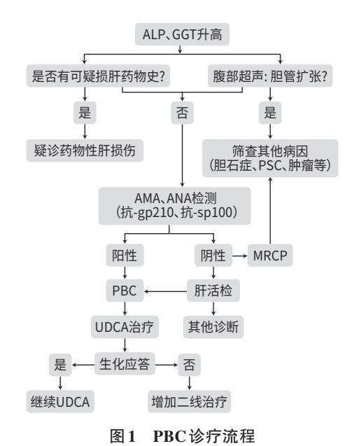 【原发性胆汁性胆管炎诊疗指南(2025年版)】原发性胆汁性胆管炎(PBC)诊疗路径图
