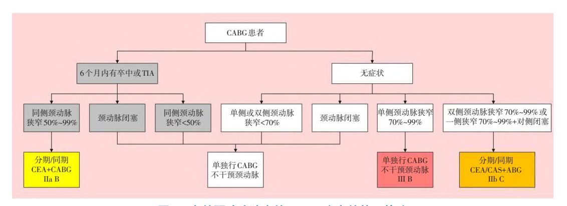【Human Anatomy Atlas】Spinal Anatomical Structure Diagram