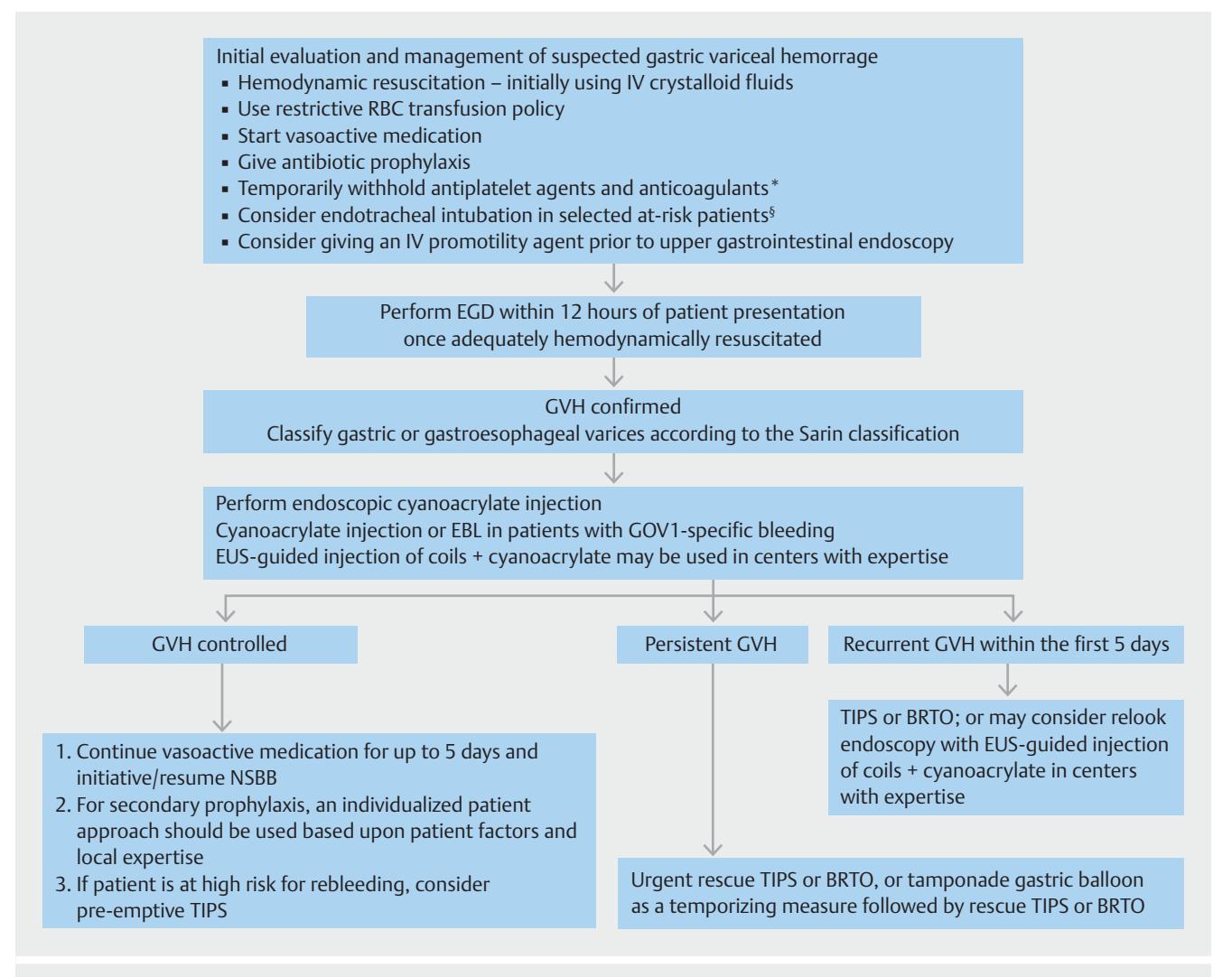 【ESGE Guideline】Gastric Variceal Hemorrhage Management Algorithm