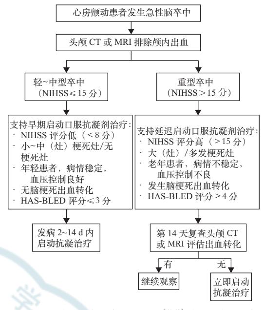 【心房颤动合并急性脑卒中患者启动抗凝治疗的时机选择临床路径】
