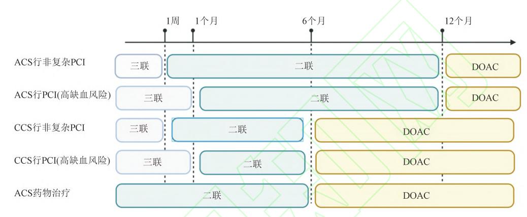 【中国心房颤动管理指南(2025)】房颤合并冠心病抗凝方案