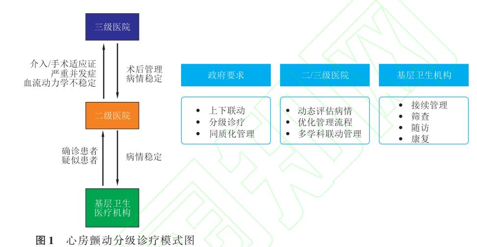 【中国心房颤动管理指南(2025)】房颤分级诊疗路径