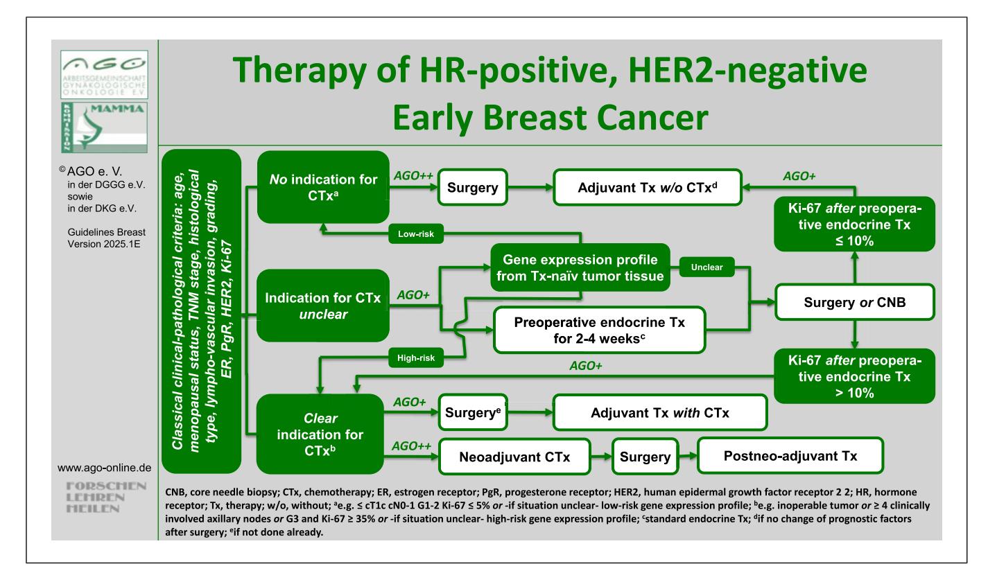 【AGO指南】HR阳性/HER2阴性早期乳腺癌治疗路径流程图