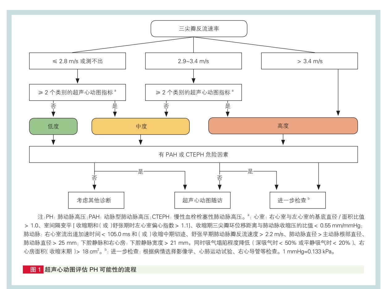 【2022 ESC/ERS肺动脉高压诊治指南】超声心动图评估PH可能性流程图