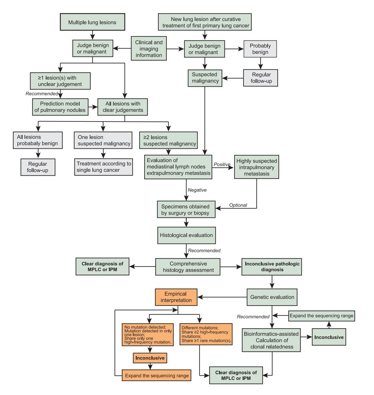 image_category: FLOWCHART/Clinical diagnostic algorithm | body_region: chest | specialty: Oncology | summary: A comprehensive clinical flowchart for differentiating between Multiple Primary Lung Cancer (MPLC) and Intrapulmonary Metastasis (IPM) in patients with multiple lung lesions. | detail: This flowchart illustrates a systematic clinical and diagnostic algorithm for the management of patients presenting with multiple lung lesions or a new lung lesion following curative treatment of a first primary lung cancer. The process initiates with a preliminary assessment using clinical and imaging information to judge lesions as benign or malignant. For cases with at least one lesion of unclear status, the use of a prediction model for pulmonary nodules is recommended. The pathway diverges based on the number of suspected malignant lesions: a single lesion follows standard single lung cancer treatment, while two or more lesions necessitate an evaluation of mediastinal lymph nodes and extrapulmonary metastasis. A positive finding for metastasis leads to a high suspicion of intrapulmonary metastasis (IPM). Conversely, negative findings prompt histological evaluation via surgery or biopsy. A comprehensive histology assessment aims to differentiate between Multiple Primary Lung Cancer (MPLC) and IPM. If pathology remains inconclusive, the algorithm advances to genetic evaluation and bioinformatics-assisted calculation of clonal relatedness. Key genetic indicators for diagnosis include the presence of different mutations or shared rare mutations to confirm MPLC or IPM. This structured approach integrates radiology, pathology, and molecular genetics to guide precise clinical decision-making and therapeutic planning. | entities: diseases=Multiple lung lesions, primary lung cancer, pulmonary nodules, mediastinal lymph nodes metastasis, extrapulmonary metastasis, MPLC, IPM, Multiple Primary Lung Cancer, Intrapulmonary Metastasis; anatomical_structures=lung, mediastinal lymph nodes; interventions=curative treatment, surgery, biopsy, histological evaluation, genetic evaluation, bioinformatics-assisted calculation of clonal relatedness, prediction model of pulmonary nodules; biomarkers=mutation, high-frequency mutations, rare mutation(s); findings=≥1 lesion(s) with unclear judgement, All lesions probably benign, One lesion suspected malignancy, ≥2 lesions suspected malignancy, Positive metastasis, Negative metastasis, Inconclusive pathologic diagnosis, No mutation detected, Different mutations, Share ≥2 high-frequency mutations, Share ≥1 rare mutation(s)
