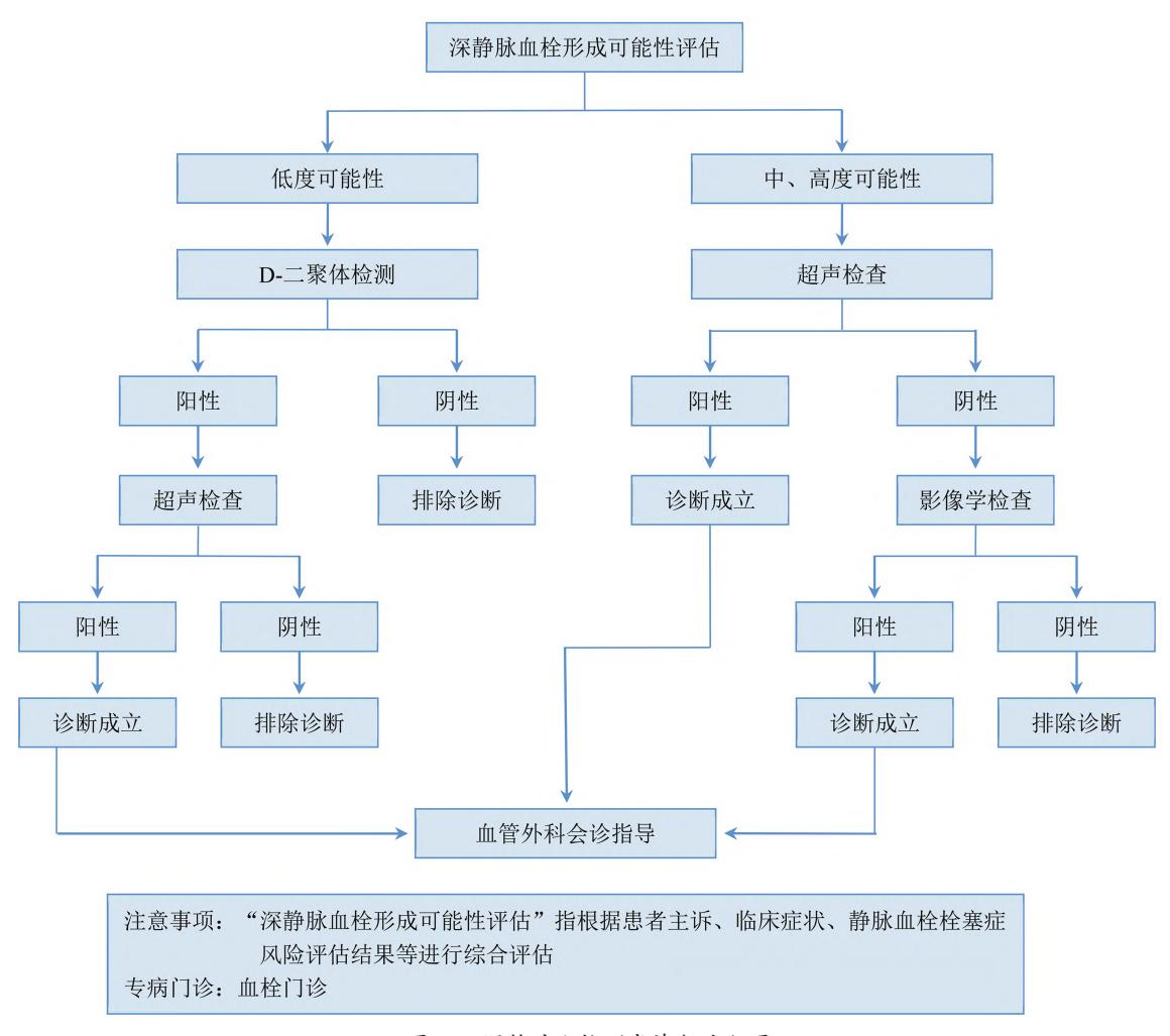 【指南/共识整合】深静脉血栓形成(DVT)可能性评估与诊断流程图