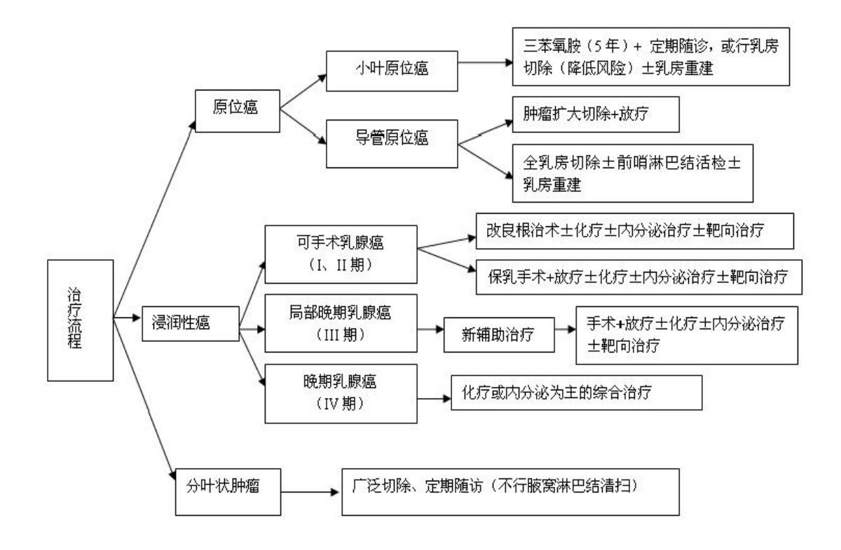 【乳腺癌诊疗指南(2022年版)】乳腺癌临床治疗路径流程图