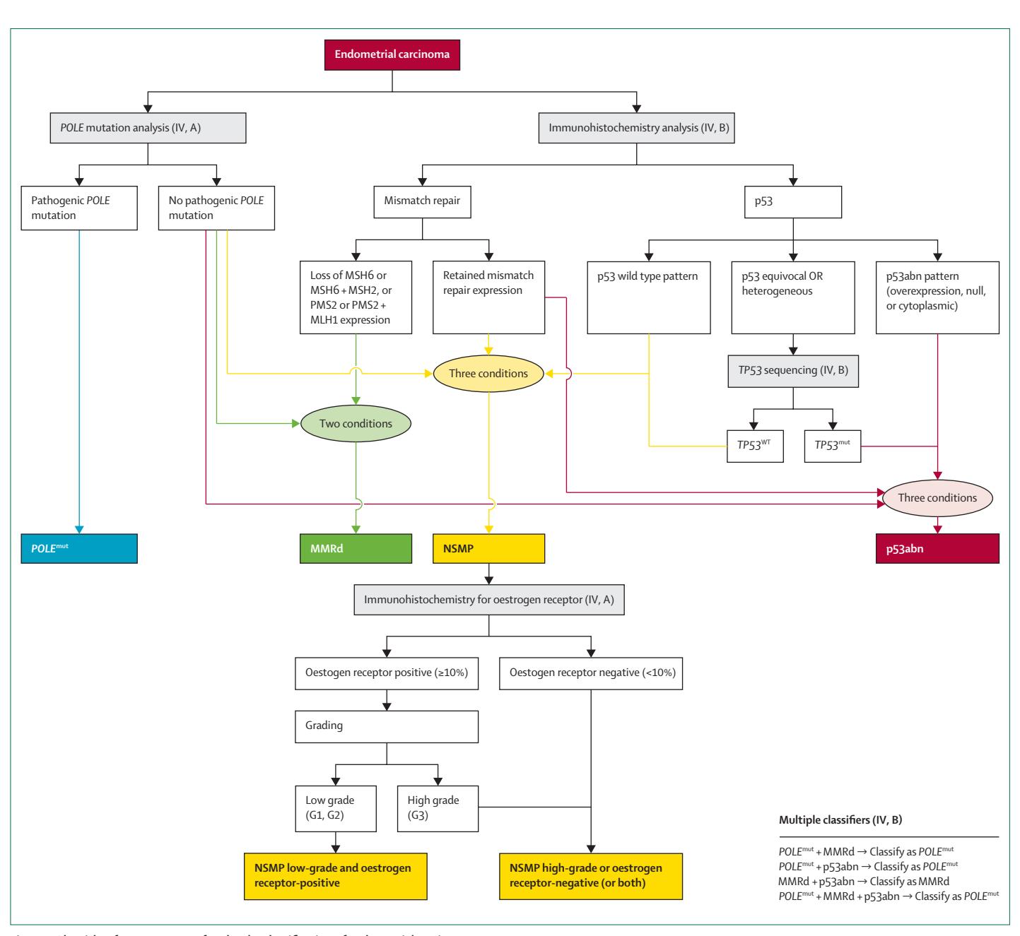【ESGO-ESTRO-ESP guidelines for the management of patients with endometrial carcinoma: update 2025】Molecular classification algorithm