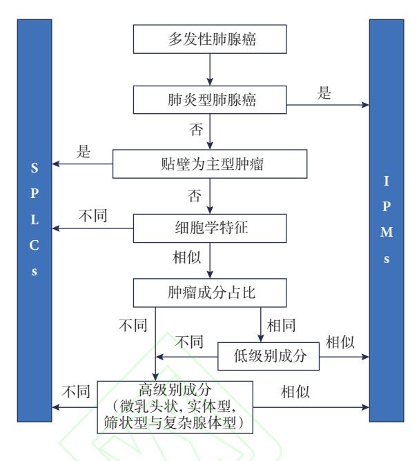 image_category: FLOWCHART/鉴别诊断流程图 | body_region: 胸 | specialty: 病理科 | summary: 该流程图展示了多发性肺腺癌中区分多原发肺癌(SPLCs)与肺内转移(IPMs)的病理学鉴别路径。 | detail: 图片呈现了一个垂直分布的临床决策流程图,用于指导多发性肺腺癌的分类诊断。流程图两侧设有蓝色长方形条带,左侧代表多原发肺癌(SPLCs),右侧代表肺内转移(IPMs)。诊断逻辑从顶部的“多发性肺腺癌”开始,首选排除肺炎型肺腺癌(归为IPMs)和贴壁为主型肿瘤(归为SPLCs)。随后通过细胞学特征、肿瘤成分占比、低级别成分以及高级别成分(包括微乳头状、实体型、筛状型与复杂腺体型)的相似性或差异性进行逐级判定。若上述形态学特征表现为“不同”,则指向SPLCs;若表现为“相似”或“相同”,则指向IPMs。该图表为病理医师提供了标准化的形态学评估框架,对于肺癌的临床分期及后续治疗方案的选择具有重要指导意义。 | entities: diseases=多发性肺腺癌, 肺炎型肺腺癌, 贴壁为主型肿瘤, 多原发肺癌, SPLCs, 肺内转移, IPMs; anatomical_structures=肺; biomarkers=微乳头状, 实体型, 筛状型, 复杂腺体型; findings=细胞学特征:不同/相似, 肿瘤成分占比:不同/相同, 低级别成分:不同/相似, 高级别成分:不同/相似