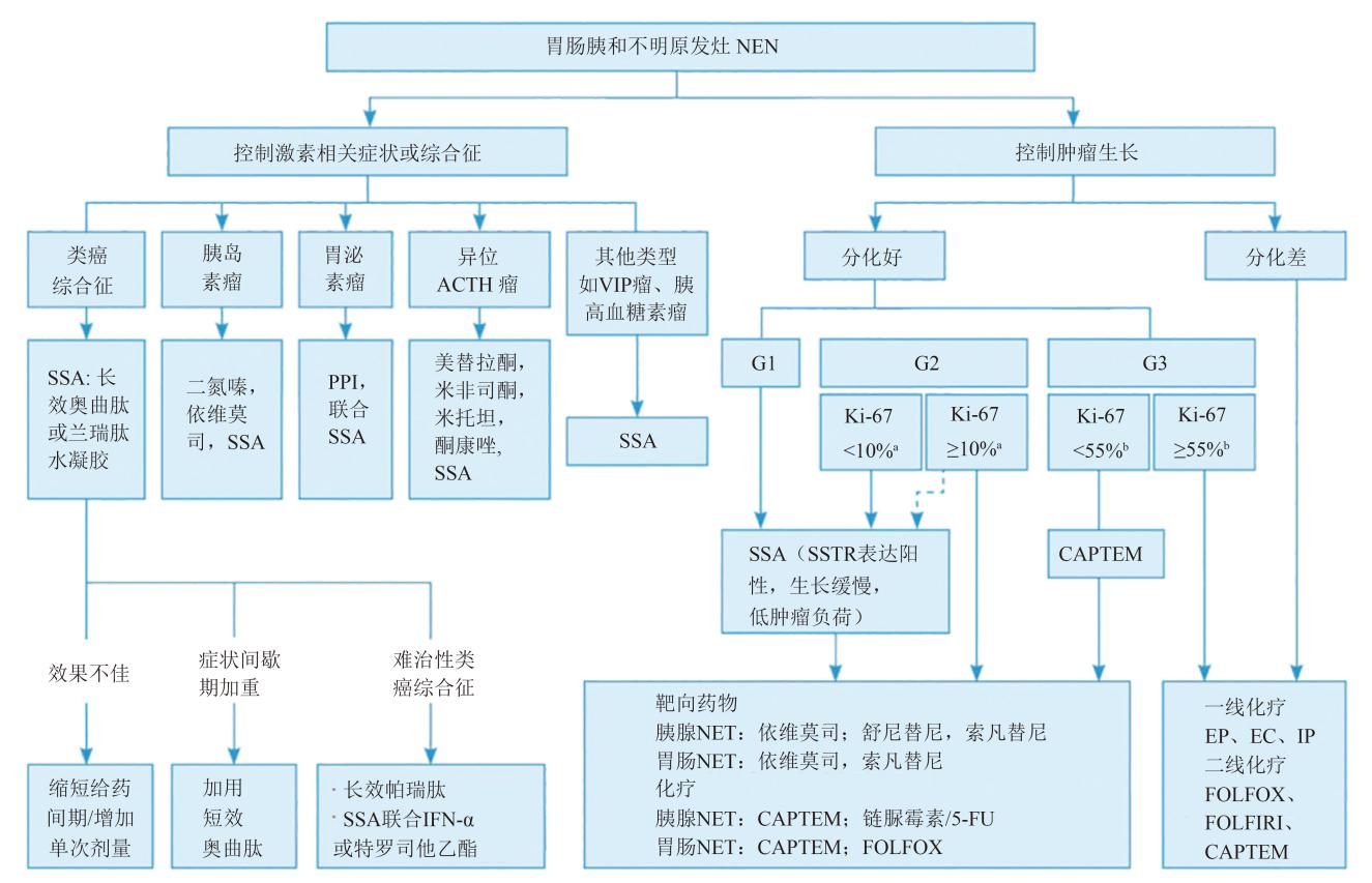 【中国抗癌协会神经内分泌肿瘤整合诊治指南(精简版)】诊疗路径流程图