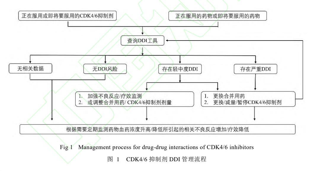 CDK4/6抑制剂DDI管理流程