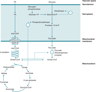 【NCCN Clinical Practice Guidelines: Non-Small Cell Lung Cancer】TNM Staging for Lung Cancer