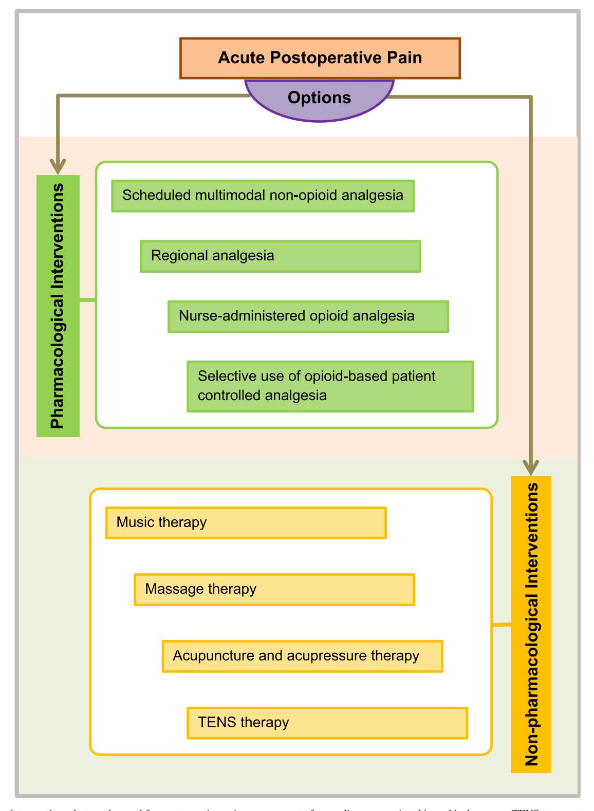 Acute Postoperative Pain Options