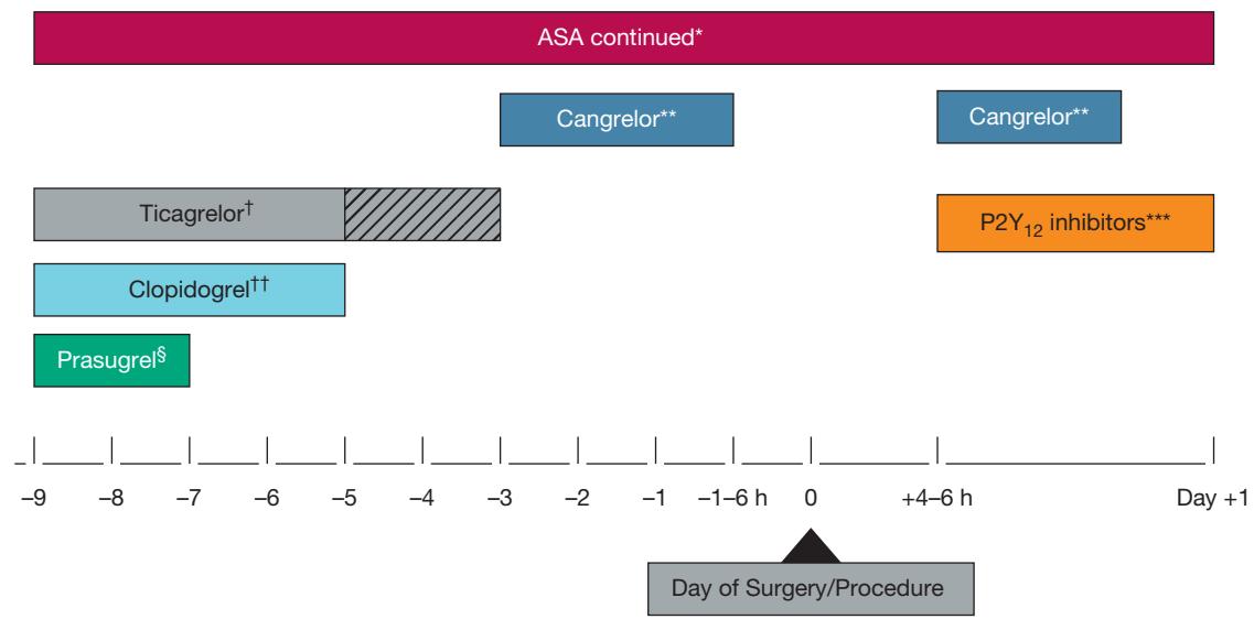【Perioperative antiplatelet management protocol】Perioperative antiplatelet management timeline