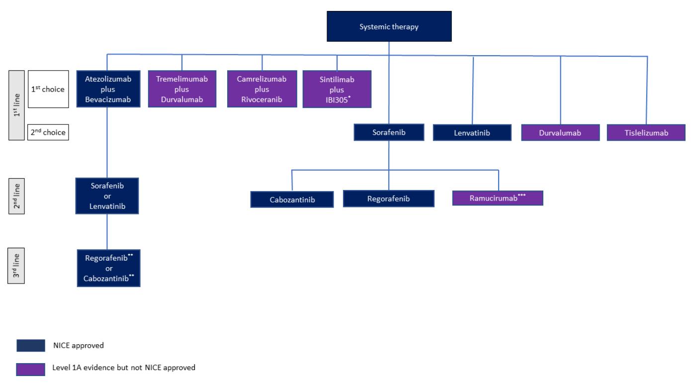 【British Society of Gastroenterology guidelines for the management of hepatocellular carcinoma in adults】Treatment Algorithm