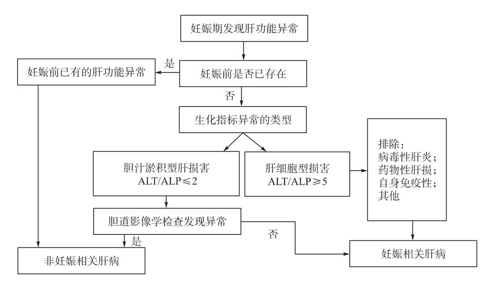 【妊娠期肝功能异常诊断流程图】