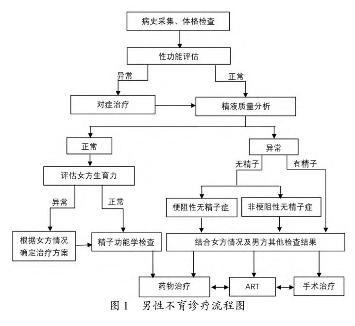 【男性不育诊疗流程图】男性不育诊疗流程图