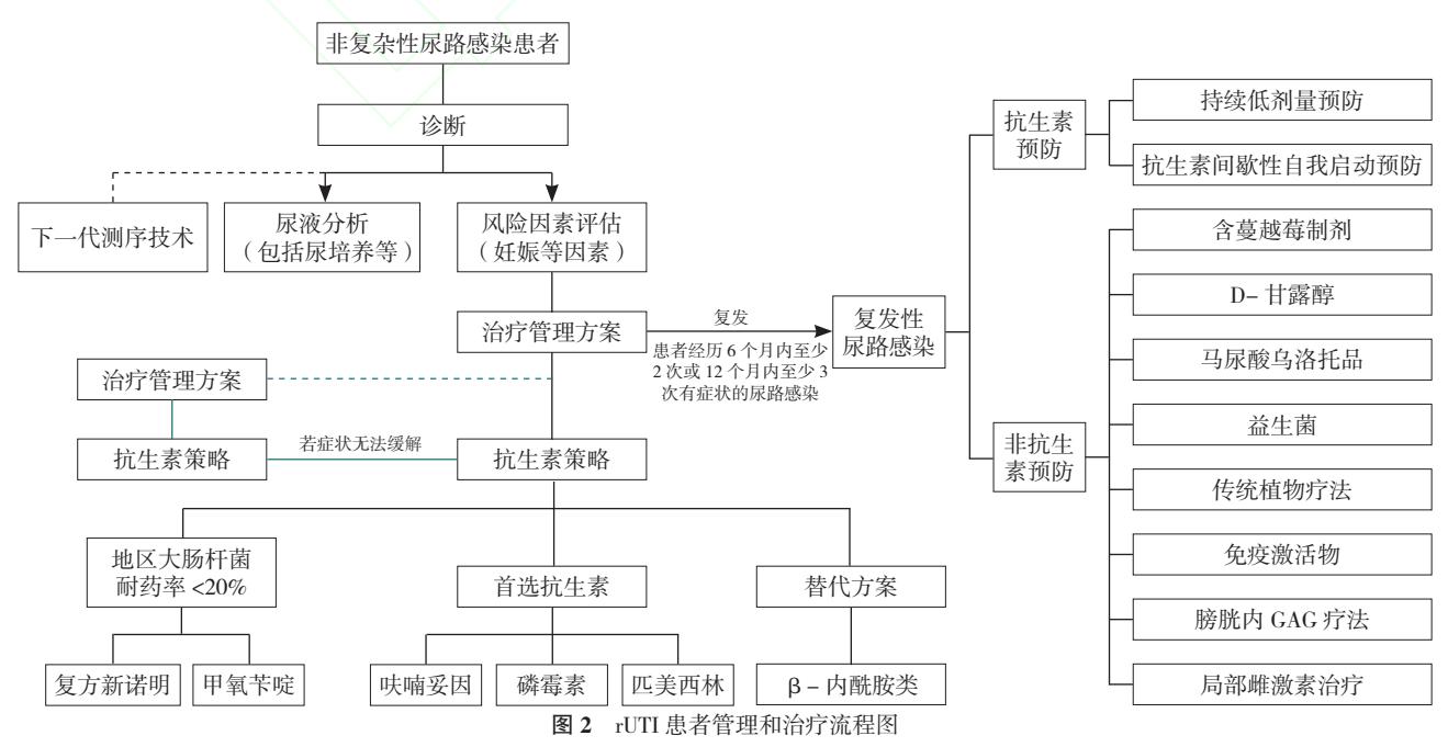复发性尿路感染管理流程图