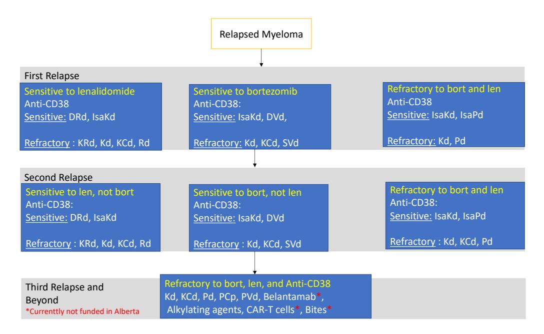 【Treatment Algorithm】Structured treatment strategy for relapsed multiple myeloma