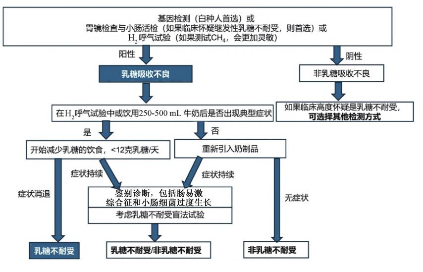 【乳糖不耐受与科学饮奶专家共识】临床诊疗流程图