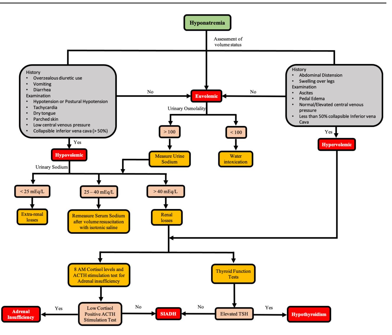 【General Internal Medicine SUBSPECIALTY CONSULT】Diagnostic Algorithm