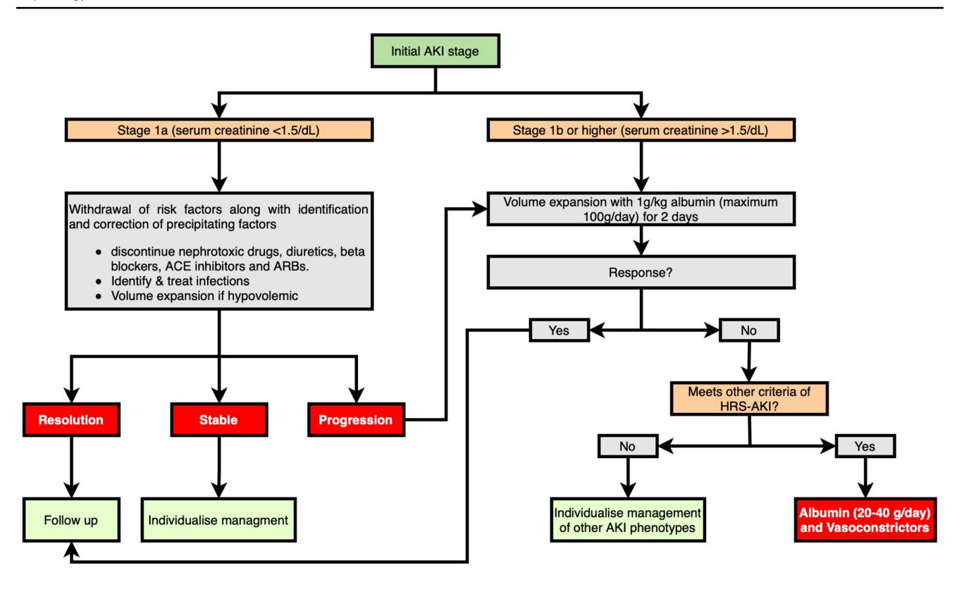 【AKI管理流程图】AKI Management Algorithm