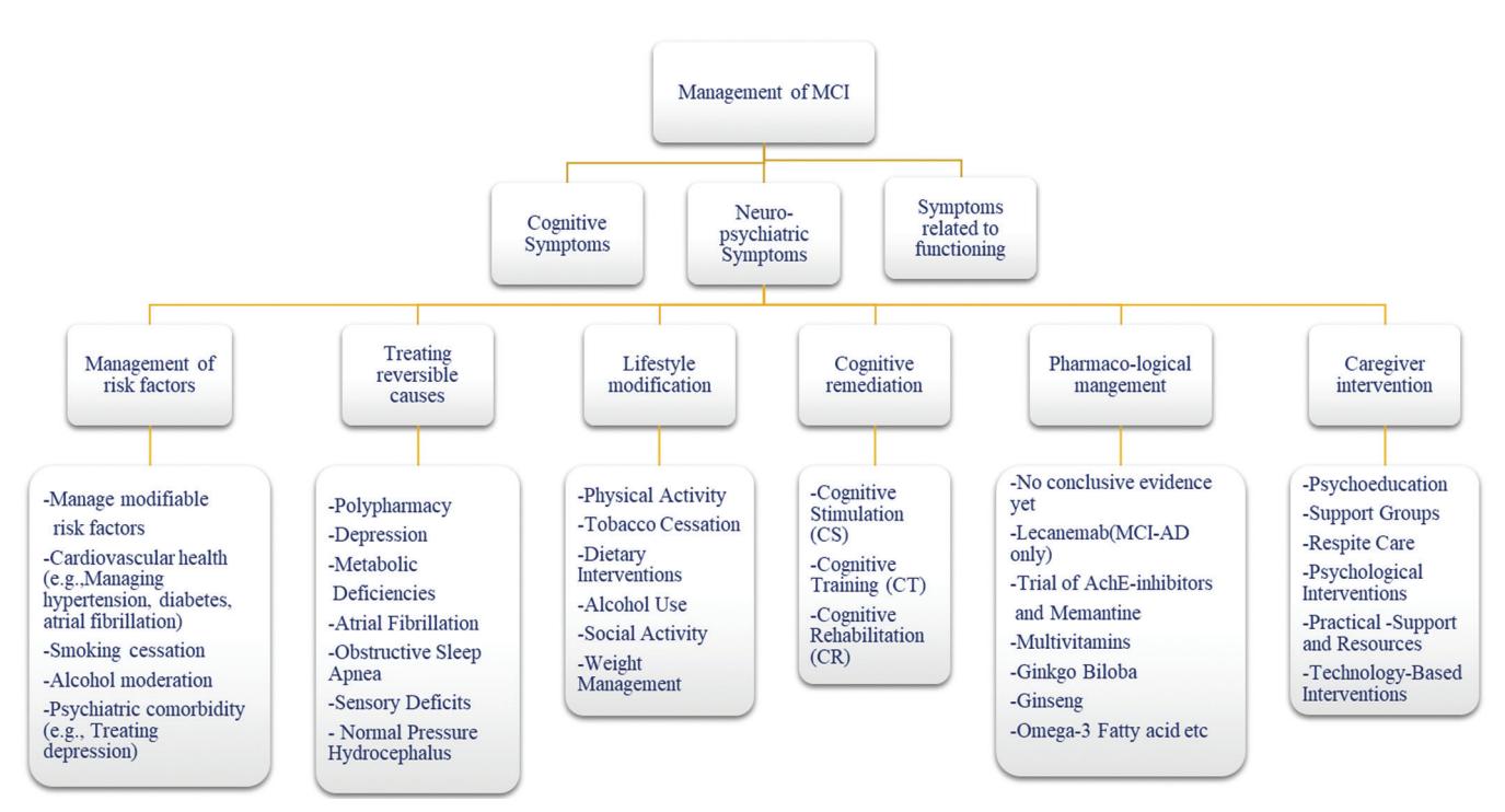 【Clinical practice guidelines for assessment and management of mild neurocognitive disorder】Clinical Management Algorithm