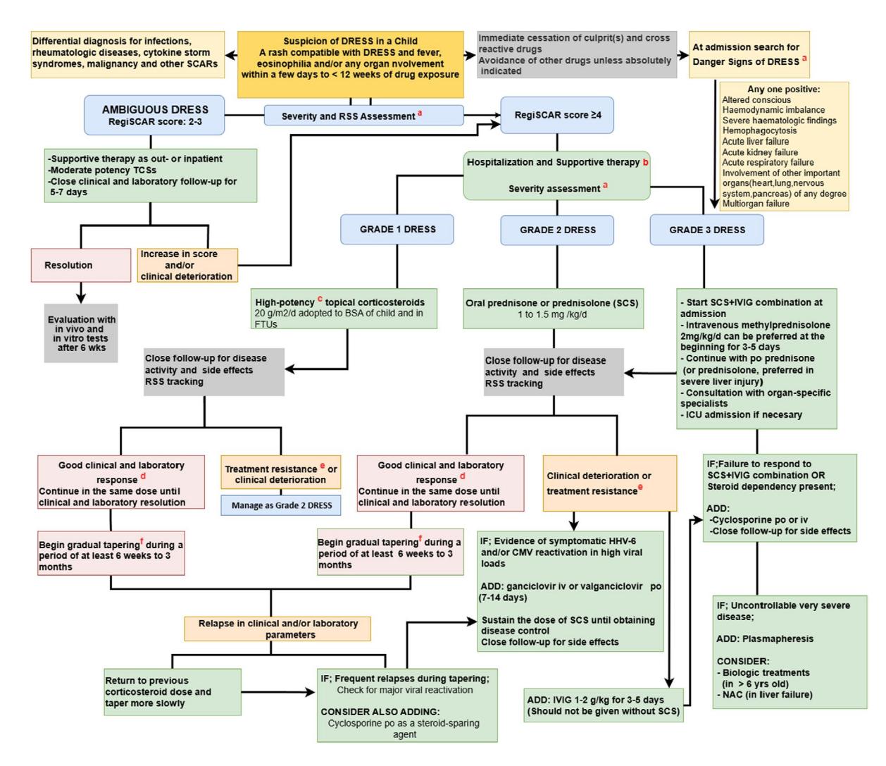 FLOWCHART/Clinical Management Algorithm | body_region: whole body | specialty: Pediatrics, Dermatology, Allergy and Immunology | summary: A comprehensive clinical flowchart for the diagnosis, severity grading, and therapeutic management of Drug Reaction with Eosinophilia and Systemic Symptoms (DRESS) in pediatric patients. | detail: This clinical flowchart outlines the management pathway for pediatric DRESS syndrome. The process begins with clinical suspicion based on a rash, fever, eosinophilia, and organ involvement occurring within 12 weeks of drug exposure. The algorithm utilizes the RegiSCAR scoring system to categorize cases as Ambiguous DRESS (score 2-3) or confirmed DRESS (score ≥4). Confirmed cases are further stratified into three grades based on severity and 'Danger Signs' such as altered consciousness, hemodynamic instability, or organ failure (liver, kidney, respiratory). Grade 1 (mild) is treated with high-potency topical corticosteroids. Grade 2 (moderate) requires oral prednisone/prednisolone (1-1.5 mg/kg/d). Grade 3 (severe) necessitates systemic corticosteroids combined with IVIG, and potentially ICU admission. The chart details monitoring for HHV-6/CMV reactivation, which may require antiviral therapy (Ganciclovir). It emphasizes a slow steroid tapering period of 6 weeks to 3 months to prevent relapse. Refractory cases may involve second-line treatments like Cyclosporine, Plasmapheresis, or biologics. Visual elements include color-coded decision nodes (yellow for suspicion, blue for grading, green for treatment) and directional arrows indicating clinical progression or response-based adjustments. | entities: diseases=DRESS (Drug Reaction with Eosinophilia and Systemic Symptoms), SCARs, HHV-6 reactivation, CMV reactivation, Acute liver failure, Acute kidney failure, Acute respiratory failure, Hemophagocytosis, Multiorgan failure; anatomical_structures=Skin, Liver, Kidney, Heart, Lung, Nervous system, Pancreas; interventions=RegiSCAR scoring, RSS Assessment, Hospitalization, IVIG therapy, Plasmapheresis, In vivo and in vitro tests, ICU admission; biomarkers=Eosinophilia, Viral load, Haematologic findings; medications=Topical corticosteroids (TCSs), Prednisone, Prednisolone, Methylprednisolone, Ganciclovir, Valganciclovir, Cyclosporine, N-acetylcysteine (NAC); findings=RegiSCAR score 2-3 (Ambiguous DRESS), RegiSCAR score ≥4 (Confirmed DRESS), Grade 1 DRESS, Grade 2 DRESS, Grade 3 DRESS, Altered consciousness, Hemodynamic imbalance | measurements: Drug exposure window < 12 weeks; Topical corticosteroid dose 20 g/m2/d; Oral prednisone dose 1 to 1.5 mg/kg/d; IV Methylprednisolone dose 2 mg/kg/d; IVIG dose 1-2 g/kg; Steroid tapering period 6 weeks to 3 months; Follow-up interval 5-7 days