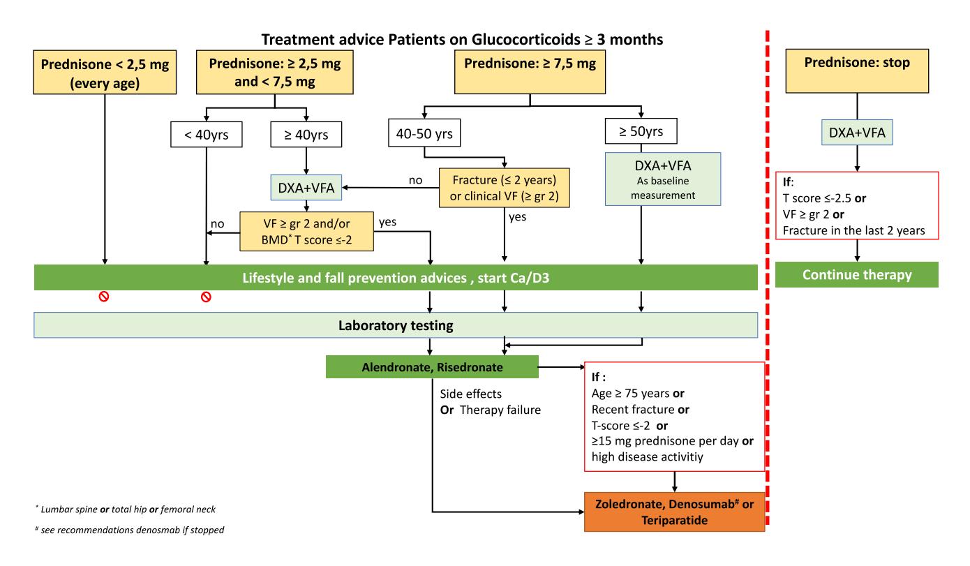 【2022 American College of Rheumatology Guideline for the Prevention and Treatment of Glucocorticoid-Induced Osteoporosis】Clinical management algorithm for glucocorticoid-induced osteoporosis