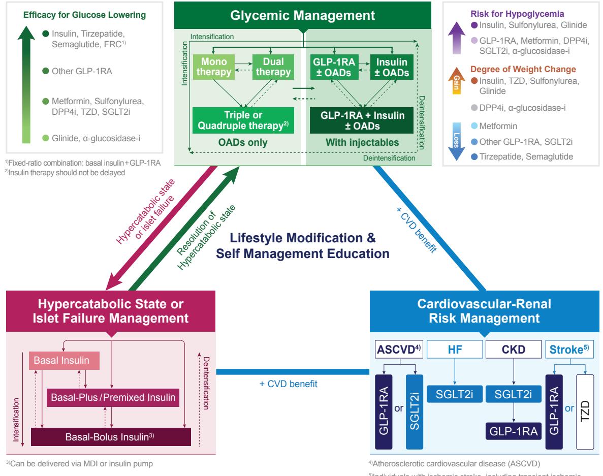 【Diabetes Treatment Algorithm】Comprehensive clinical algorithm for managing Type 2 Diabetes